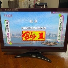 テレビ(˶ᐢᗜᐢ˶)