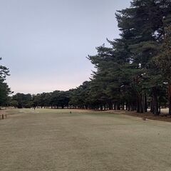 成田、稲敷、潮来に平日ゴルフ行きませんか？