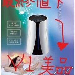 未使用（メーカー洗浄後）最新リタライフV2 水素風呂 検査