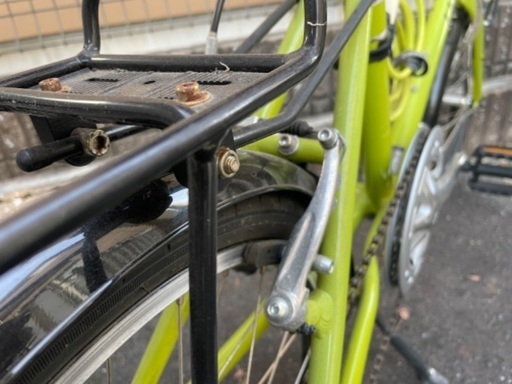 オンライン Liv AMICA