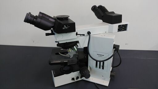 顕微鏡　オリンパスBX50