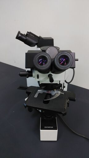 顕微鏡　オリンパスBX50