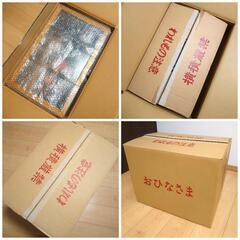 【USED・極美品】雛人形 親王飾り ケース飾り 