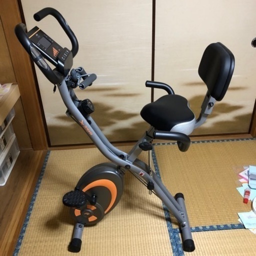 メンテ済み ドイツ製 バイオリン RUDOLPH FIEDLER GOF 分数 1/4