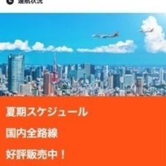 飛行機チケット 片道 那覇から関空 2/8 11時55分発