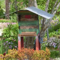 蜜源植物を増やしたいので、ご支援ください。　日本ミツバチ保護です - 木更津市