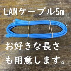 LANケーブル 5m 