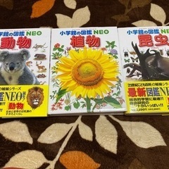 小学館の図鑑NEO 植物　動物　昆虫　3冊
