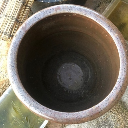 植木鉢 盆栽 睡蓮鉢 めだか鉢 水瓶 まとめ売り【千葉県市原市 お