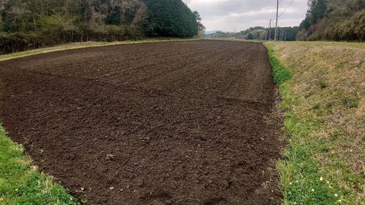 【２袋】コシヒカリ　玄米30kg　茨城県笠間市産　令和４年生産の１等米