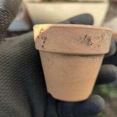小さい陶器プランター