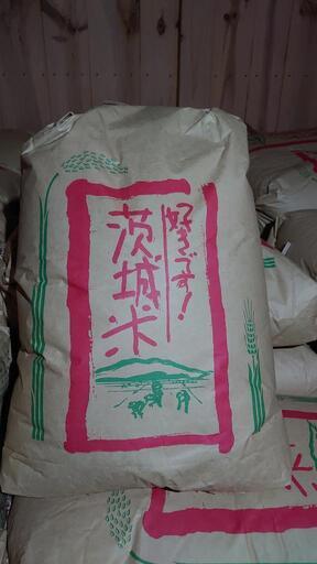 コシヒカリ※※ 玄米30kg×2袋 令和4年産1等米 生産 コシヒカリ※※ 玄米30kg×2袋 令和4年産1等米 生産