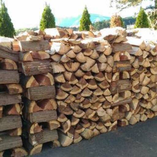 処分　ヒノキ　杉　乾燥済み　薪 大中割り　ダンプ５台分　県内配送費込み　２０万