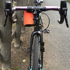 FOCUS MARES AXを売ります