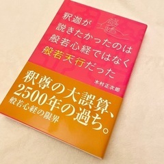 釈迦が説きたかったのは般若心経ではなく般若天行だった