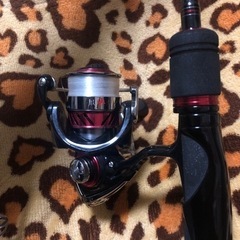 今日17時まで(__)月下美人76lt 月下美人mx2004hセット