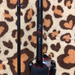 今日17時まで(__)月下美人76lt 月下美人mx2004hセット