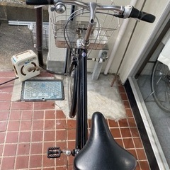 ブリチストン　アルベルト　2020年