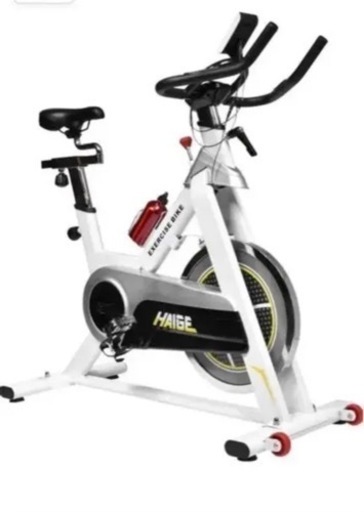 アルインコ エアロバイク AF6200 運動 ダイエットエクササイズ