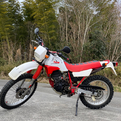 セロー225-薄刃包丁銀三7寸