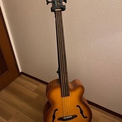 Aria Pro Acoustic Bass