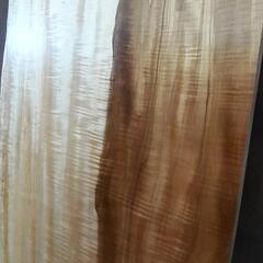 トチ　栃　カウンター　一枚板　杢　高級