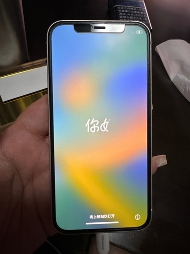 デンヨー ウェルパー 値引き交渉ok