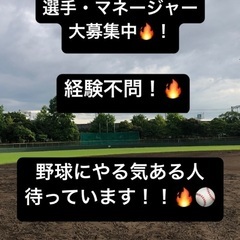 【草野球】選手・マネージャー募集 DINOSAURS 東大阪中心...