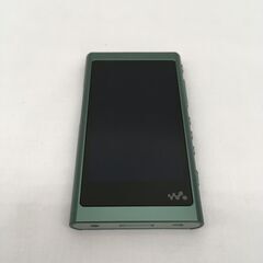 SONY ウォークマン 16GB NW-A55 ホライズングリー...