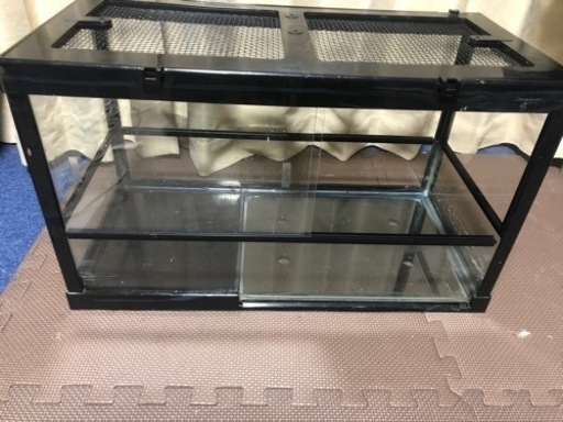 爬虫類水槽6030