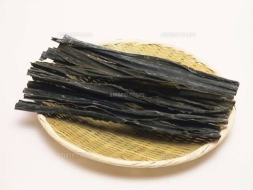 象　木化石　珪化木　ペトリファイド　天然石　処分 象 木化石 珪化木 ペトリファイド 天然石 処分 - メルカリ