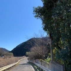 植木剪定　枝切り　 - 地元のお店