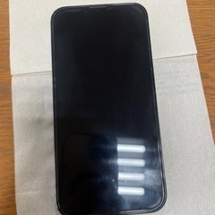 【ネット決済・配送可】IPHONE 13 PRO 