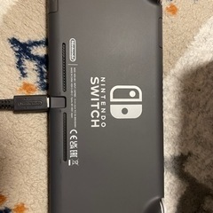 【決まりました】Nintendo Switch lite本体とソフト2本のセット