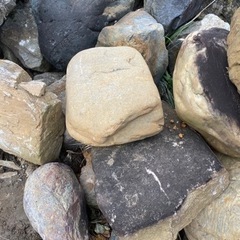 庭石　石　エクステリア　庭DIY  砂利石