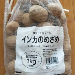 ★人気品種★インカのめざめ種芋1Kg