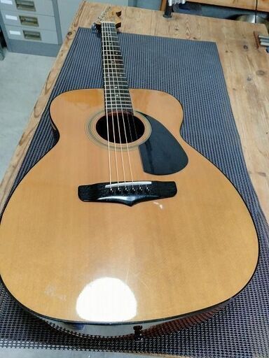 美品 AVALON Guitars PU搭載 エレアコ グラスファイバーケース付 美品 AVALON Guitars PU搭載 エレアコ グラスファイバーケース付