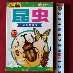 [決定]【無料】差し上げます。昆虫ミニ図鑑(カードタイプ)