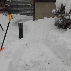 雪に関わるお困りごとならば当方へ − 青森県