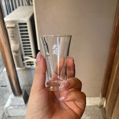 日本酒グラス（大関小）