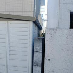 物置小屋№2　ヨドコウ