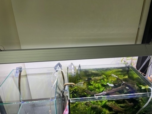 水槽用 照明　LEDライト90センチ 熱帯魚