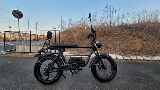 【値下げしました】電動バイク（自転車モード有り）マーベリックS1-1000
