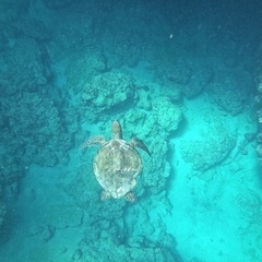 アウトドア、旅行