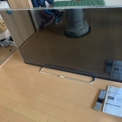 東芝 REGZA 58型テレビ-サツマニアンヘス2日通し