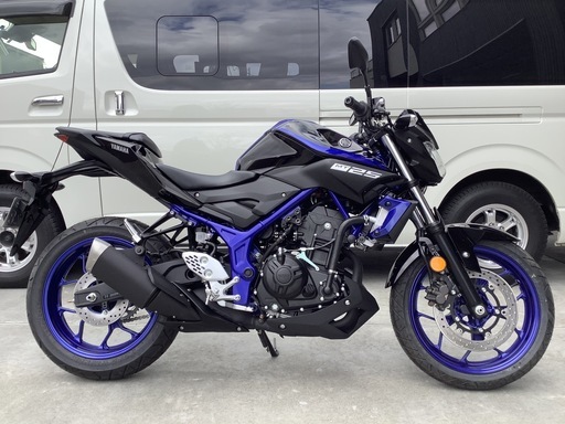 「無転倒美車」MTー25 2018年モデル　5132km  無転倒　グリップヒーター　フェンダーレス