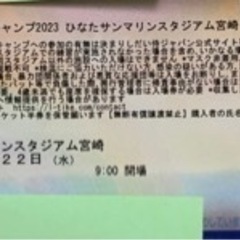 侍ジャパン宮崎事前キャンプ2月22日分入場整理券　郵送可　現地渡しも可
