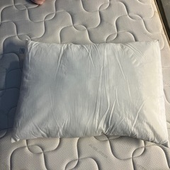 フランスベッド　枕　パイミーピロー　50cm×70cm