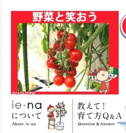 トマトが簡単に！