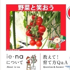 無農薬栽培　UH-A01E とie-na 